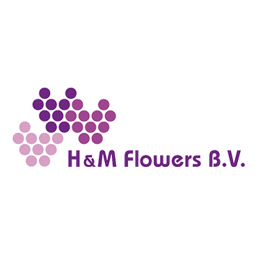 H&M-Flowers-Beeldteam