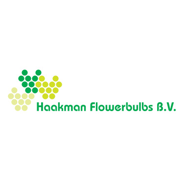 Haakman-Flowerbulbs-Beeldteam