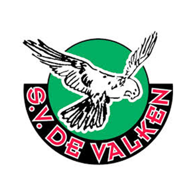 SV-de-Valken-Beeldteam
